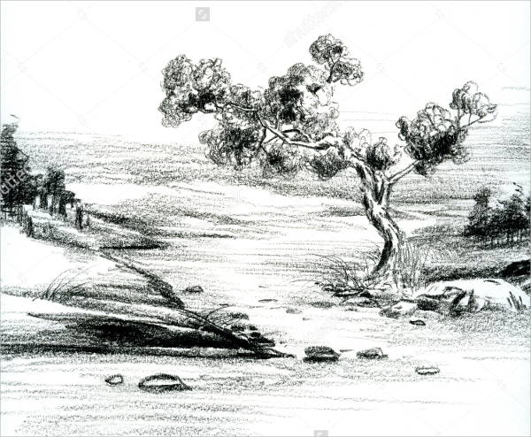 600x494 Nature Drawings, Art Ideas Free Amp Premium Templates - Sketches Of Nature