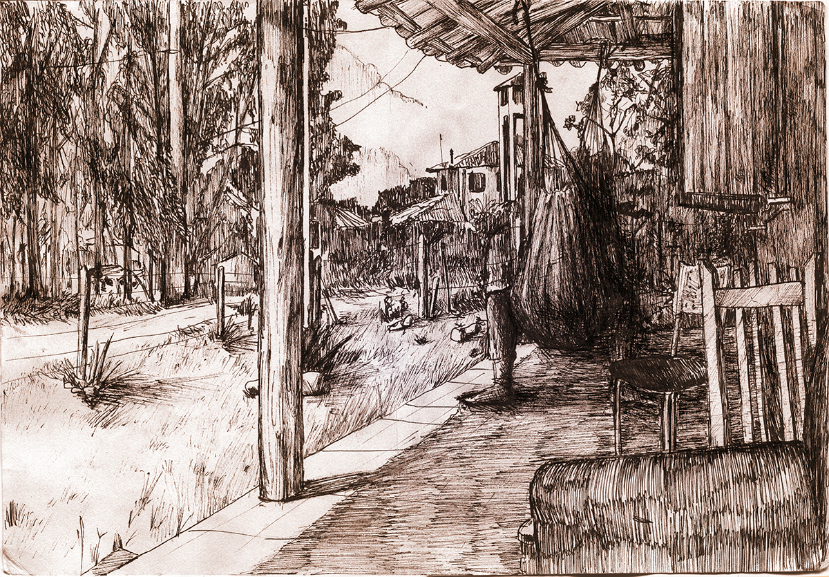 1200x835 Sketches, Plants And Cigaretts On Behance - Sketches Of Plants