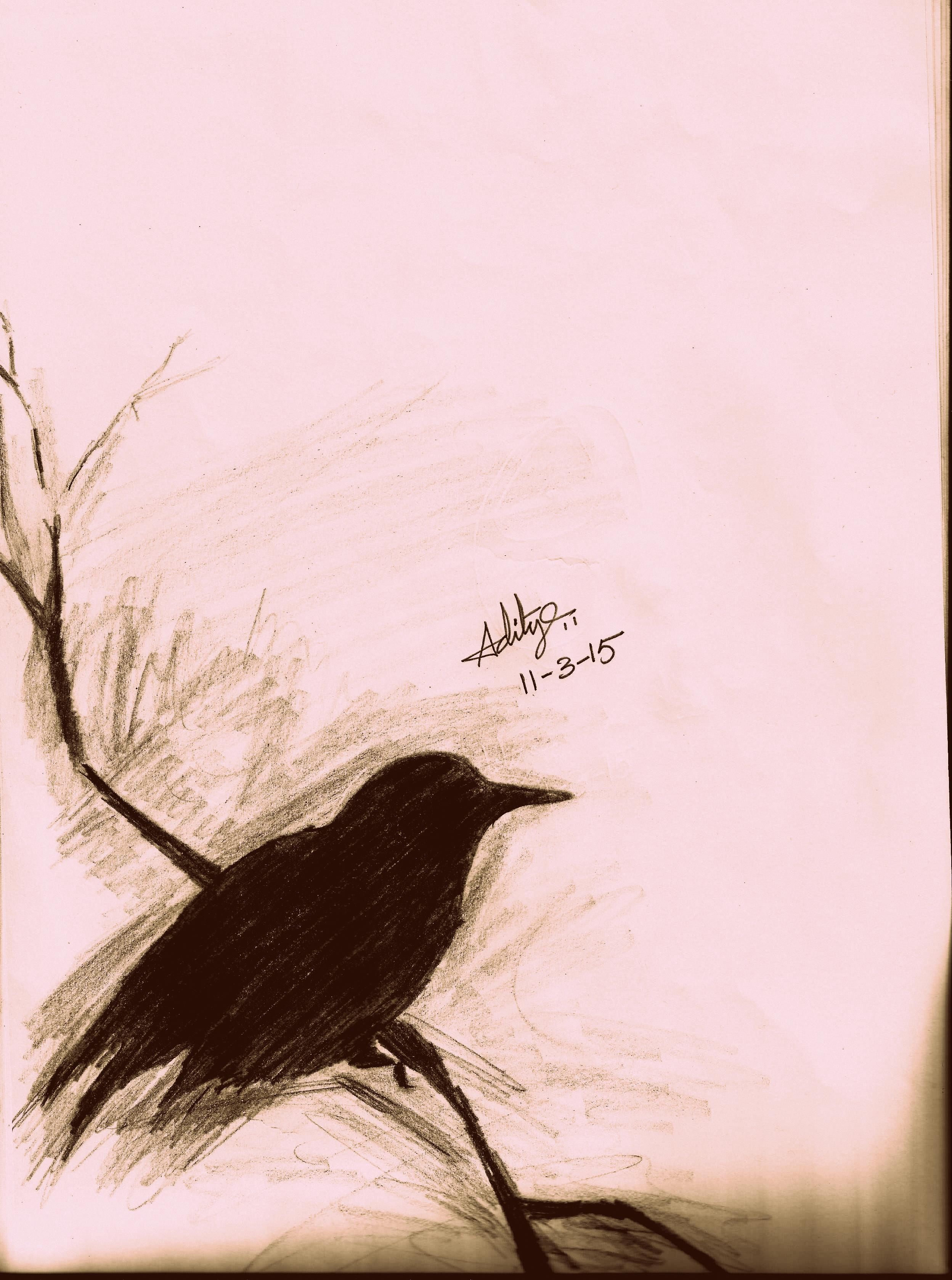 2497x3356 Pin By Aditya Gangadhar On Pencil Sketches Ravens - Sketches Of Ravens