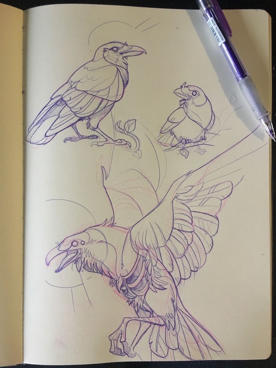 960x1280 Raven Sketches Cool Sketchbook Pages Ravens - Sketches Of Ravens