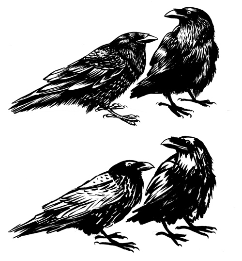 Sketches Of Ravens at PaintingValley.com | Explore collection of ...