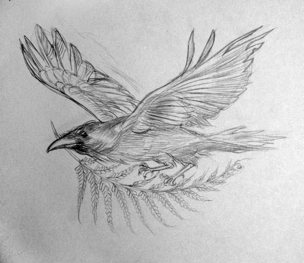 1000x866 Ravens Flying Sketch - Sketches Of Ravens