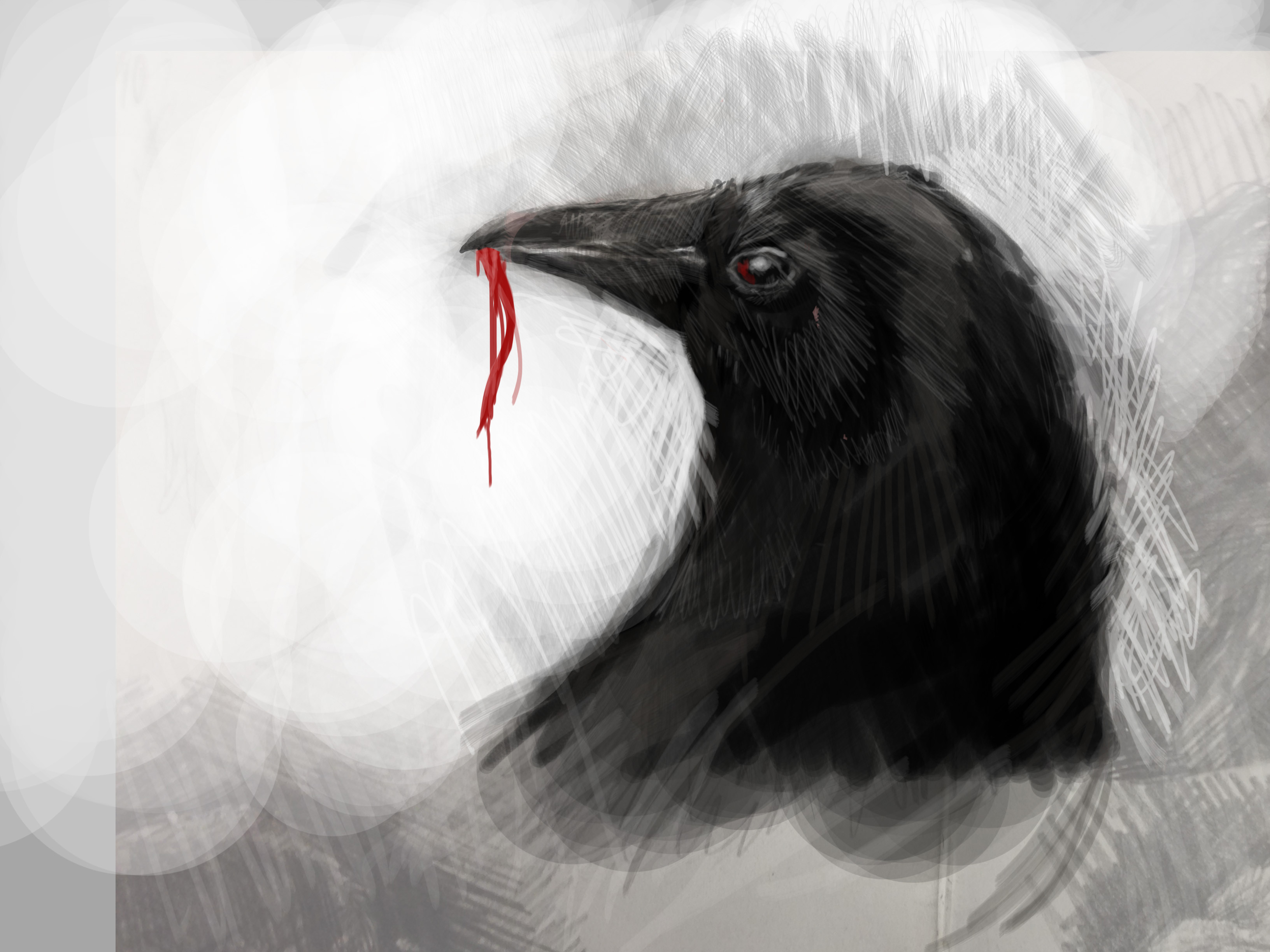 3264x2448 December 22nd - Sketches Of Ravens
