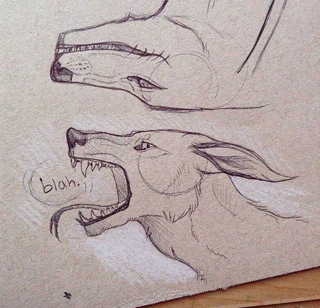 640x616 Pin By Just 1 Girl On Sketch Fantasy Books And Sketches - Sketches Of Science