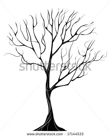 377x470 Photos Drawing Trees Without Leaves, - Sketches Of Trees Without Leaves
