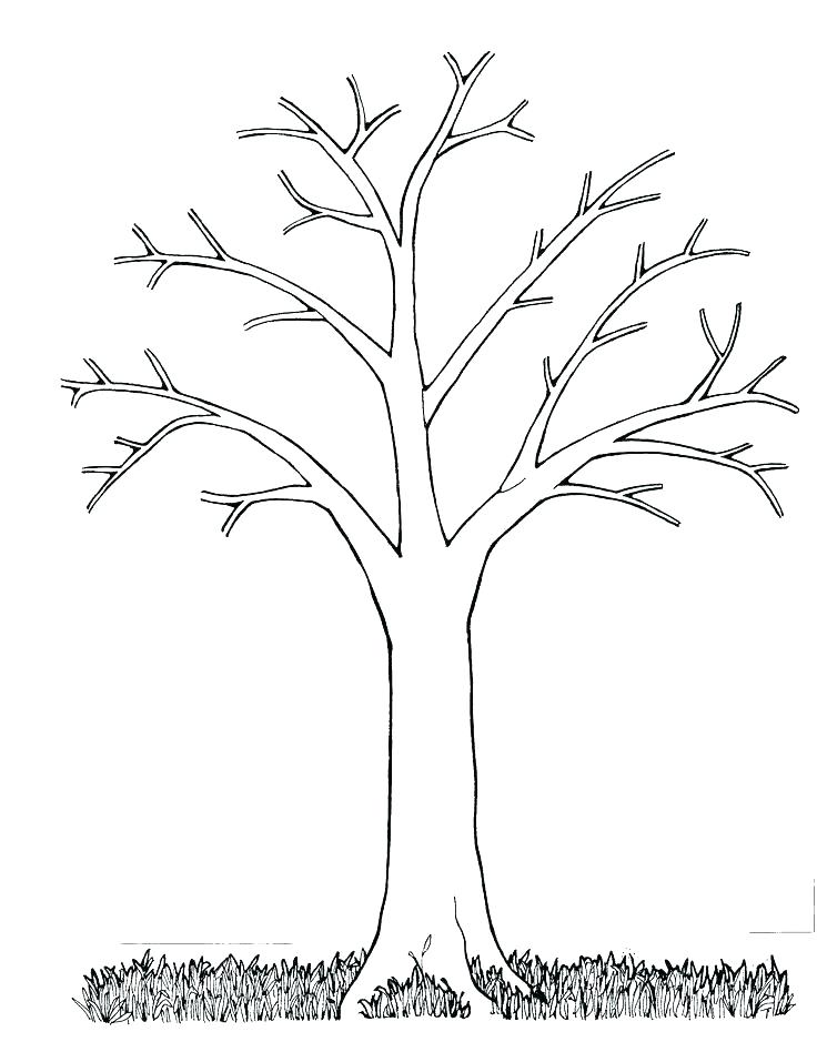736x948 Tree Without Leaves Coloring Pages Fall Winter - Sketches Of Trees Without Leaves