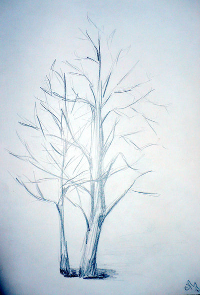 400x588 Tree Without Leaves By Mizu Chan X3 - Sketches Of Trees Without Leaves