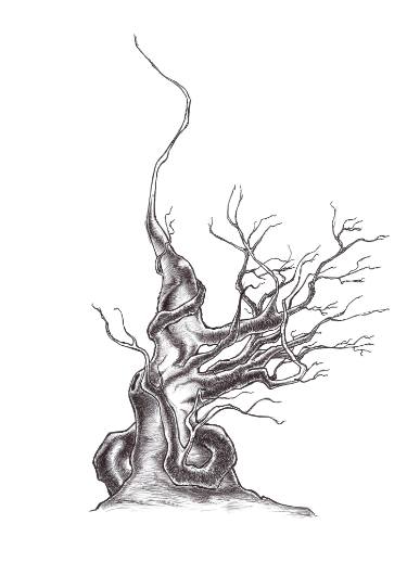 375x530 Trees Without Leaves 2 Drawing By Solutin One Saatchi Art - Sketches Of Trees Without Leaves