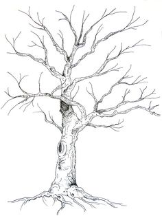 236x314 Line Drawing Leaves Twisting Tree By Ellfi - Sketches Of Trees Without Leaves