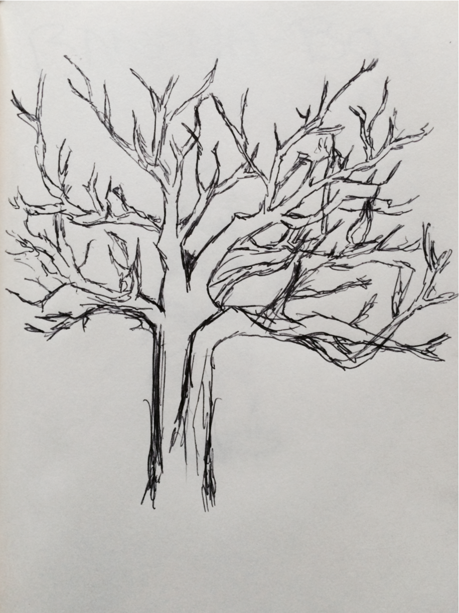 921x1228 Deniga Selva Little Sketch Of A Tree Without Leaves! - Sketches Of Trees Without Leaves