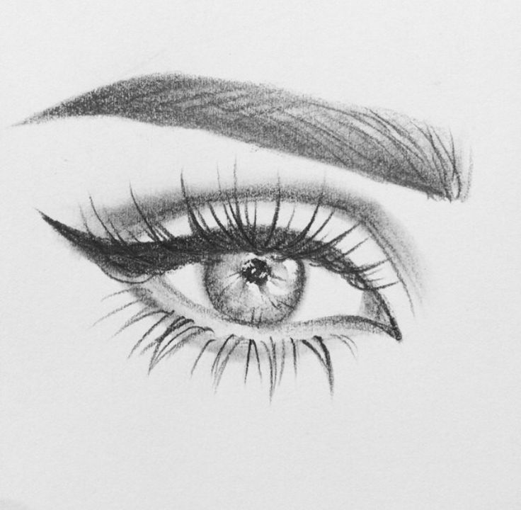 736x720 I Want To Learn How To Draw An Eye Like This Human Eye - Sketches To Draw