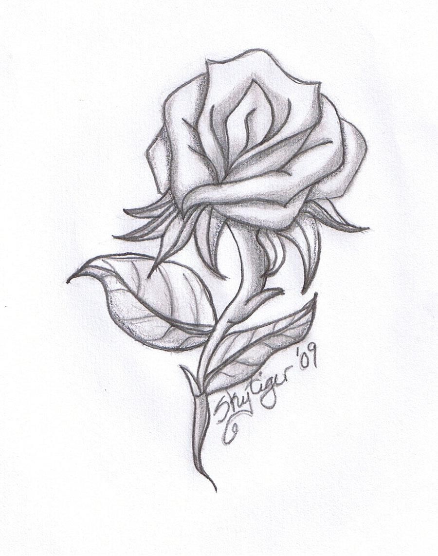 900x1142 Love Roses Drawings Step By Step Hd Background 9 Hd Wallpapers - Sketches To Draw