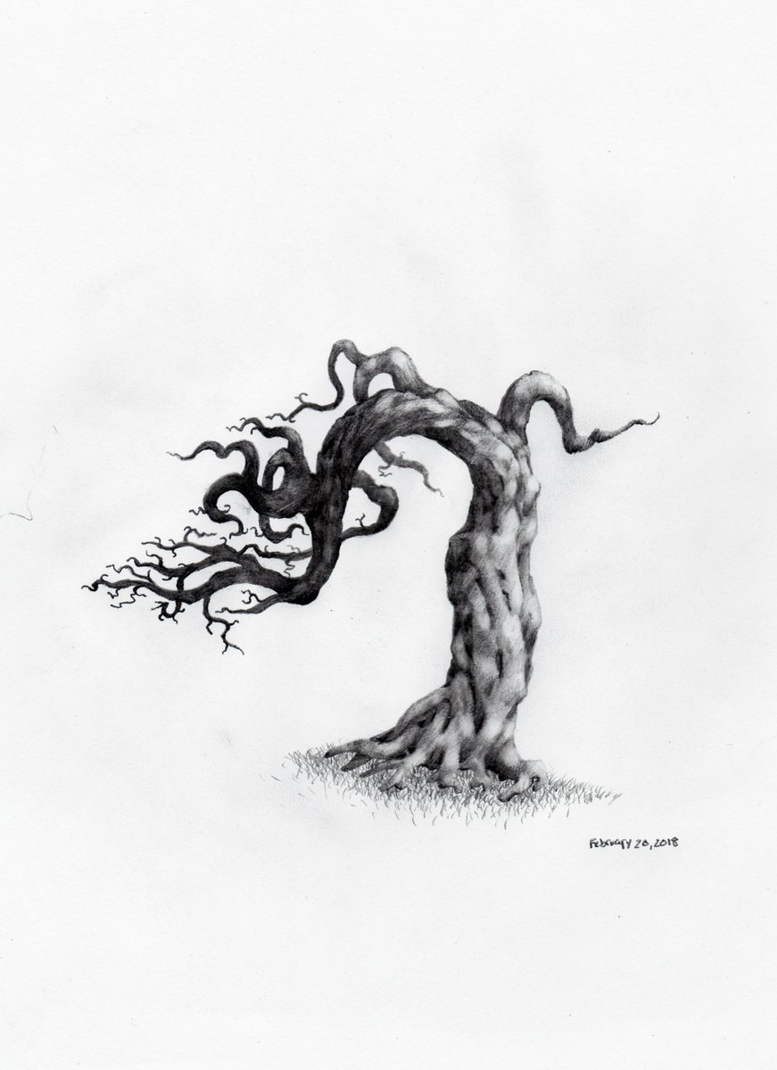 871x1200 Owentree Sketches On Twitter Cat Tree Shadow - Sketches To Draw