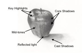 288x188 Drawing Lessons Using Shadows To Create 3 D Shapes - Sketching 3d Shapes