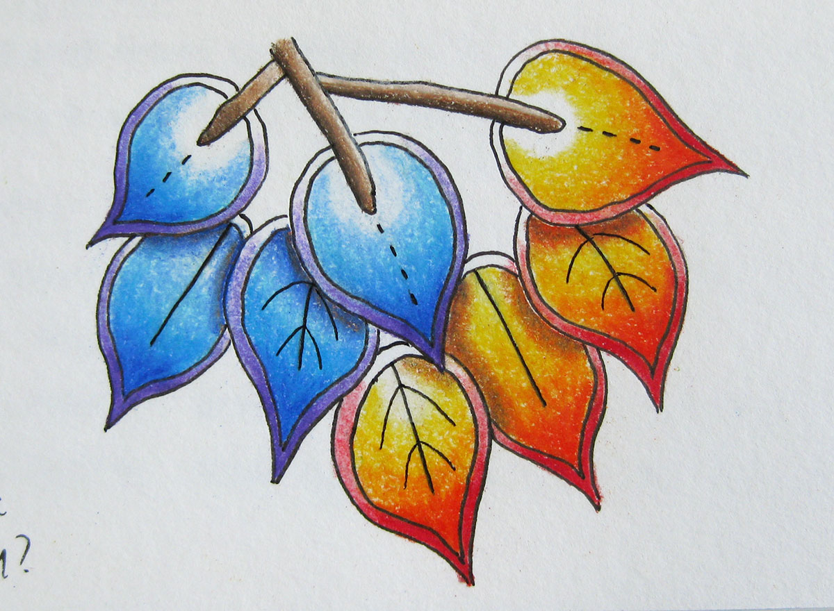 1200x880 Colored Pencil Technique 101 More Leaf Sketches Allspice Abounds - Sketching Colored Pencils