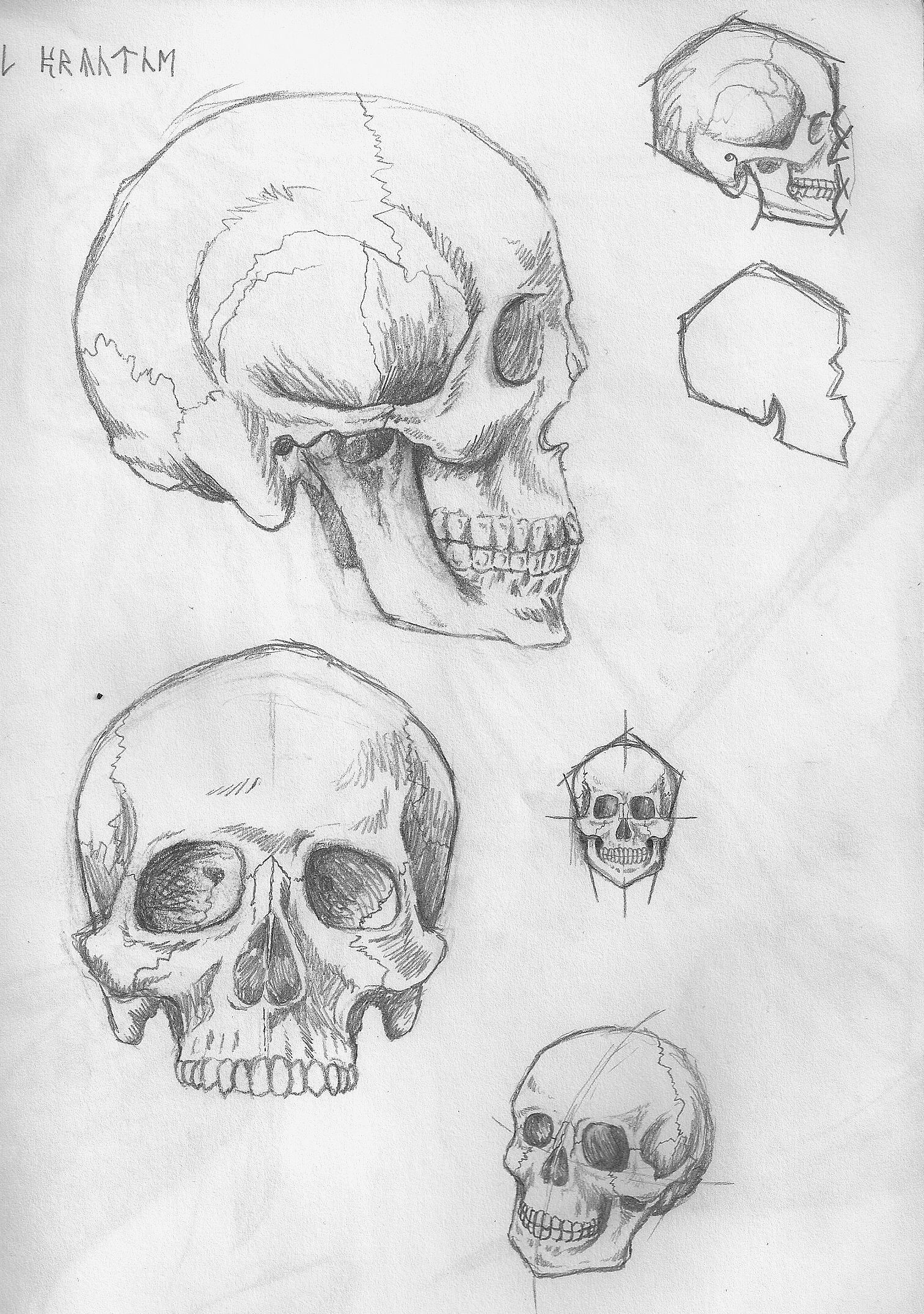 1512x2150 Skull Sketching Practice Sketching Drawings - Sketching Exercises