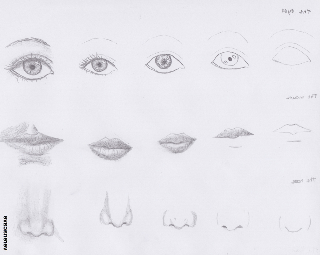 Pencil Drawing Exercises Bestpencildrawing