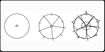 432x216 Drawings Of Flowers - Sketching For Beginners Step By Step