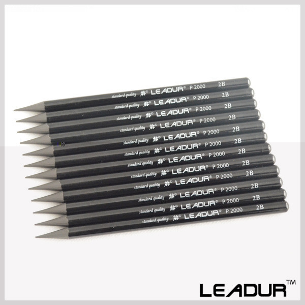 600x600 12pcsset 2b Woodless Graphite Pencils For Sketching Gift Set - Sketching Gift Set