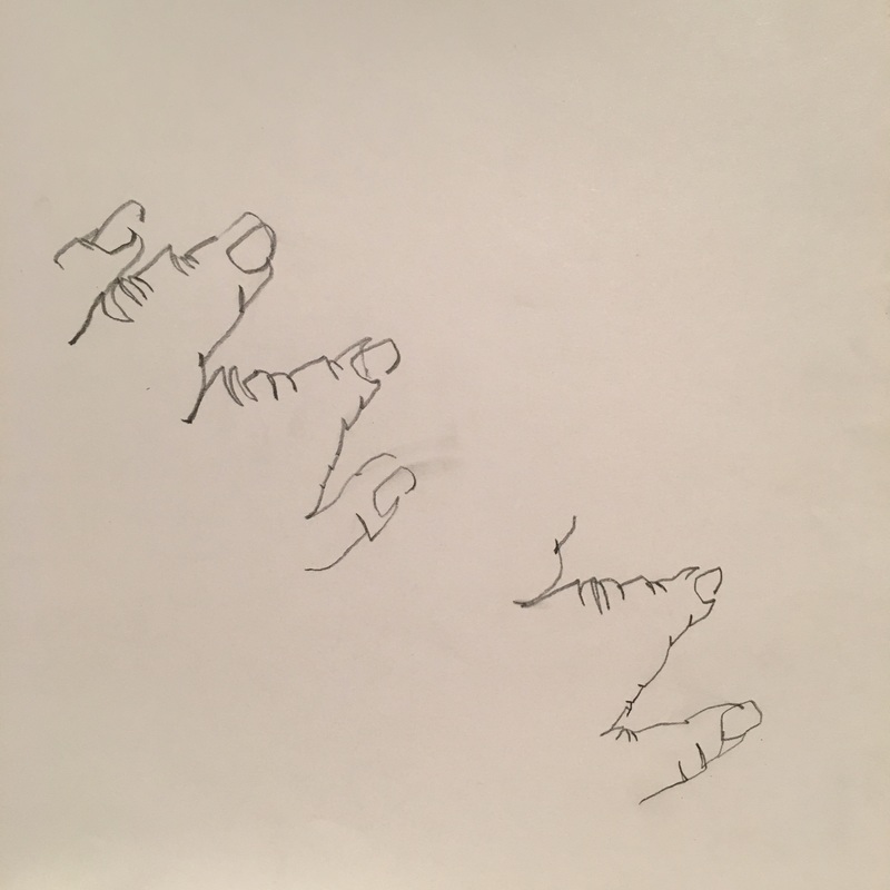 800x800 Sketching Lessons - Sketching Lessons