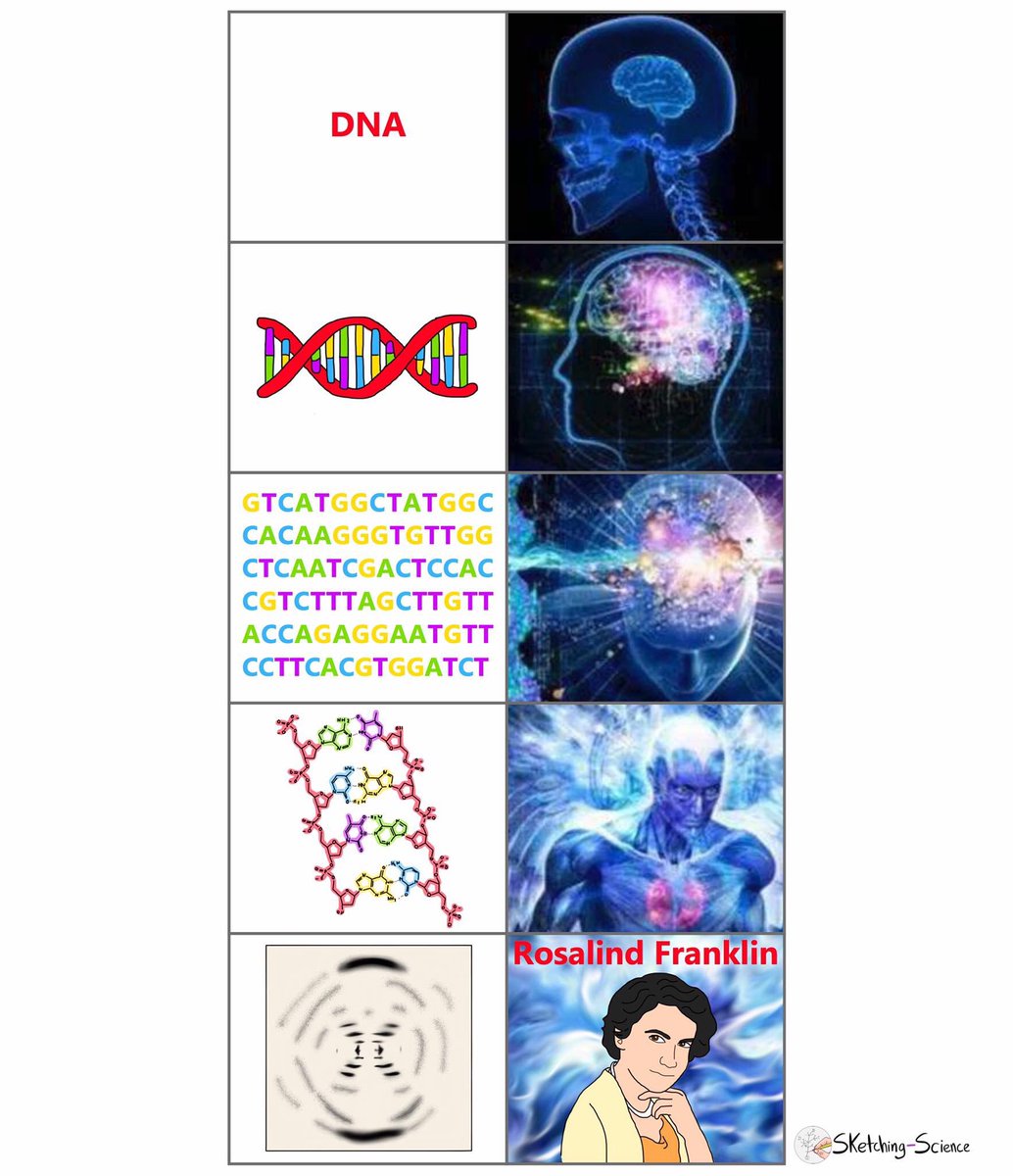 1034x1200 Sketching Science Latest News, Breaking Headlines And Top Stories - Sketching Science