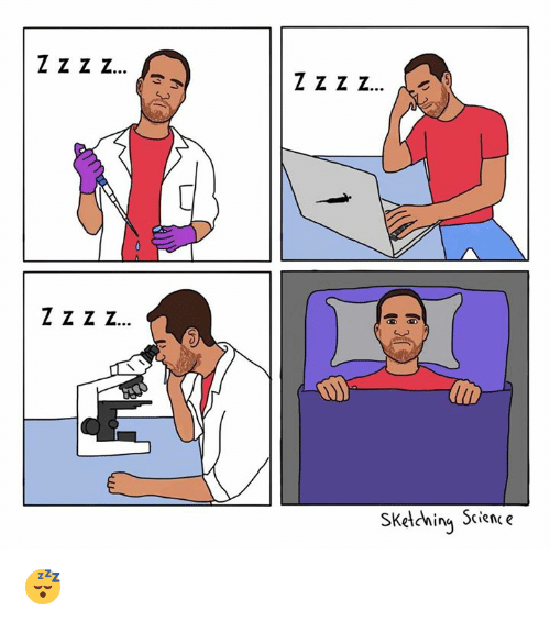 500x566 Z Z Z Z Sketching Science Meme On - Sketching Science
