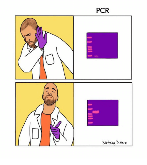 500x561 Pcr Sketching Science Meme On - Sketching Science