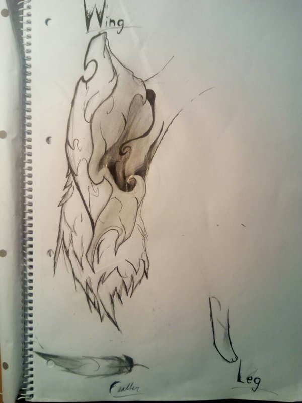 600x800 Oc Sketching Stuff By Furrytrashcz - Sketching Stuff