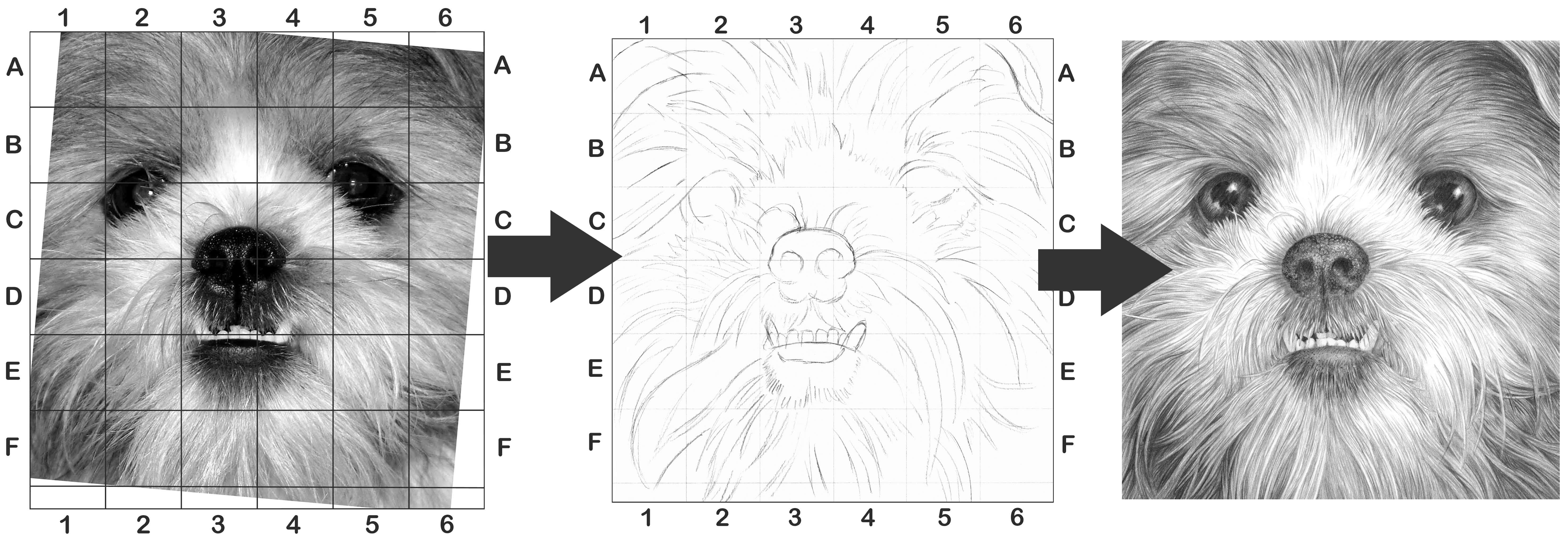 5916x2046 Sketching Techniques Tps Media Arts - Sketching Techniques