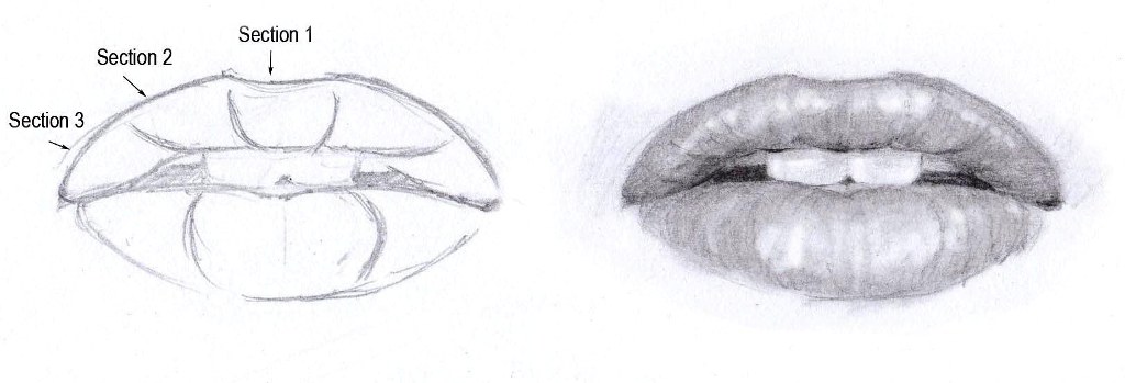 1024x349 Tips On Drawing The Mouth Like Sketch - Sketching Tips