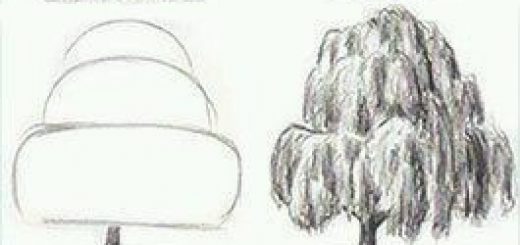 520x245 Tips Art Drawing - Sketching Tips