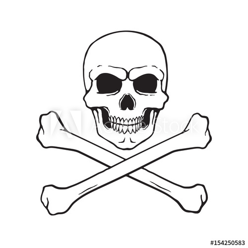 500x500 Vector Illustration. Hand Drawn Doodle Of Skull Jolly Roger With - Skull And Crossbones Sketch