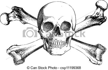 450x293 Bones Clipart Sketch - Skull And Crossbones Sketch