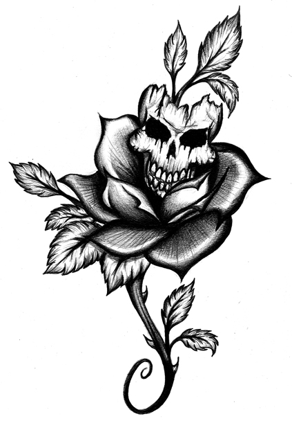 Skull And Rose Sketch At Paintingvalley Com Explore Collection