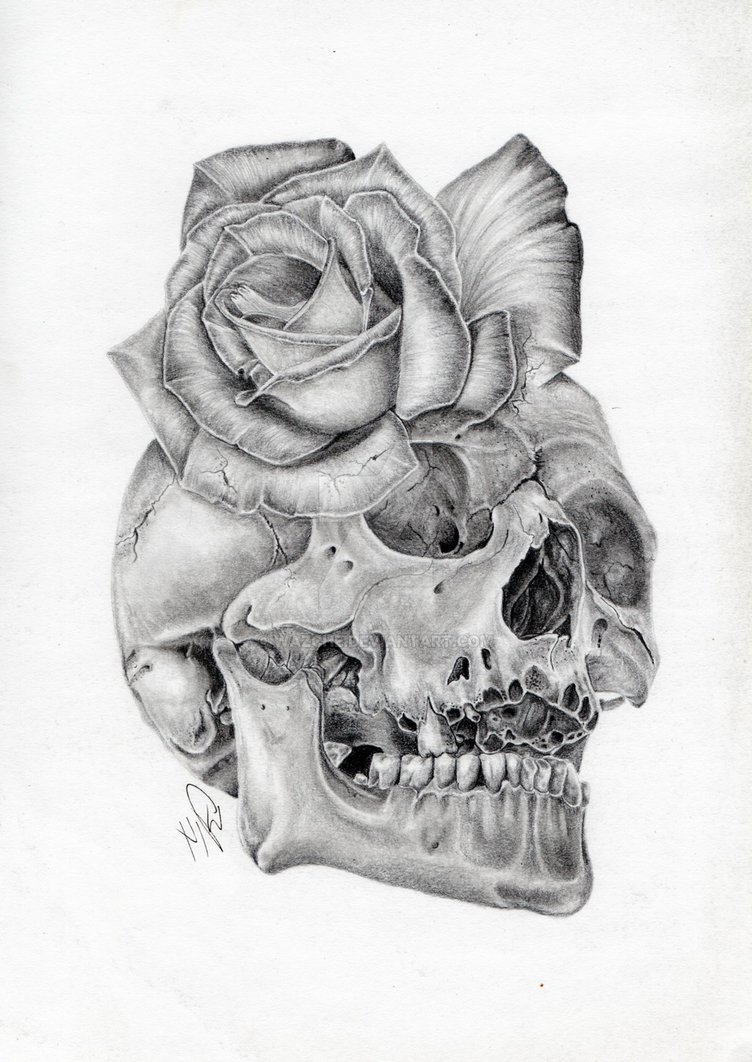752x1062 Skull Rose Morph Graphite Pencil Drawing By Wazche - Skull And Rose Sketch