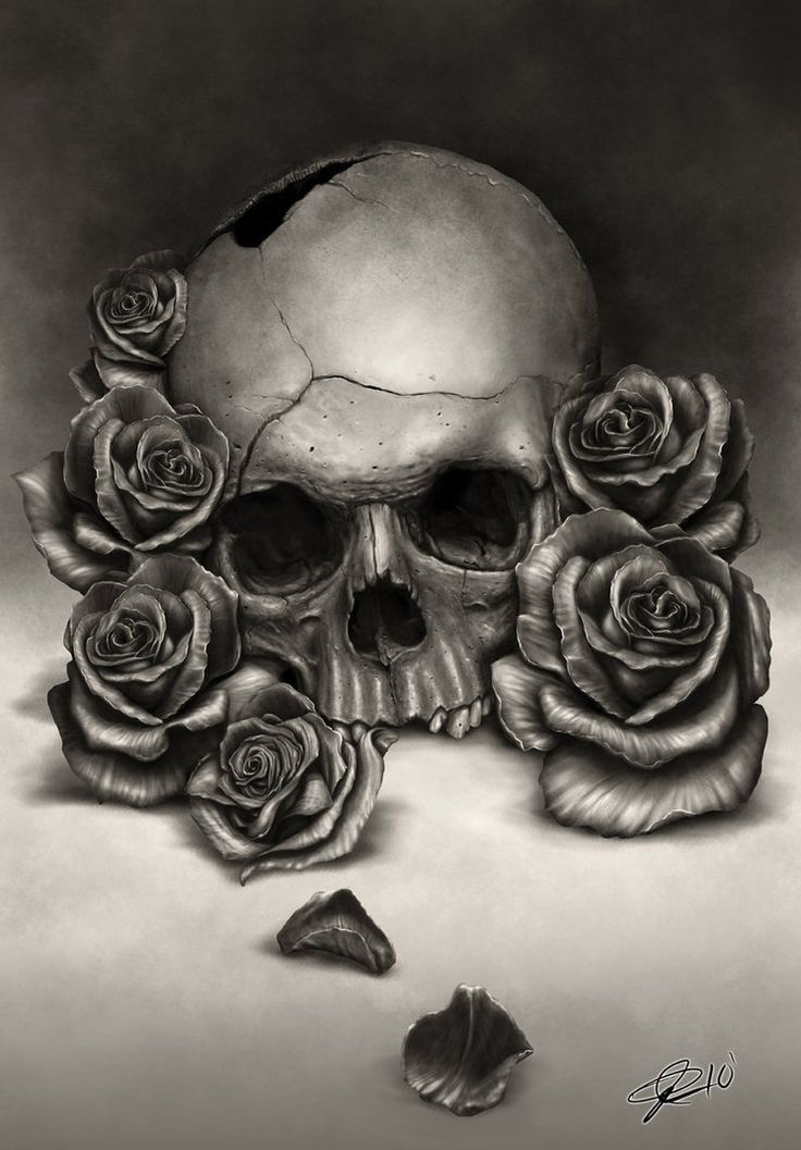 736x1057 Collection Of Skull Roses Crow Raven Stopwatch Cross Tattoos - Skull And Rose Sketch