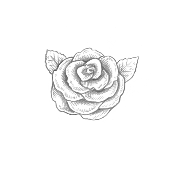 600x596 Use Ink Liners To Create A Skull And Roses Drawing - Skull And Rose Sketch