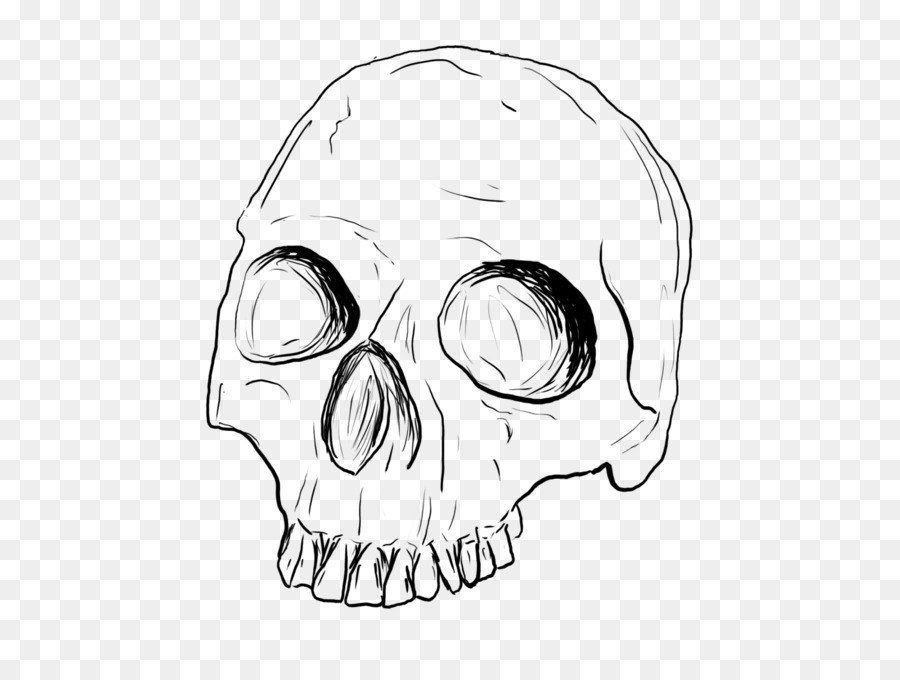 900x680 Drawing Skull Line Art Sketch - Skull Art Sketch