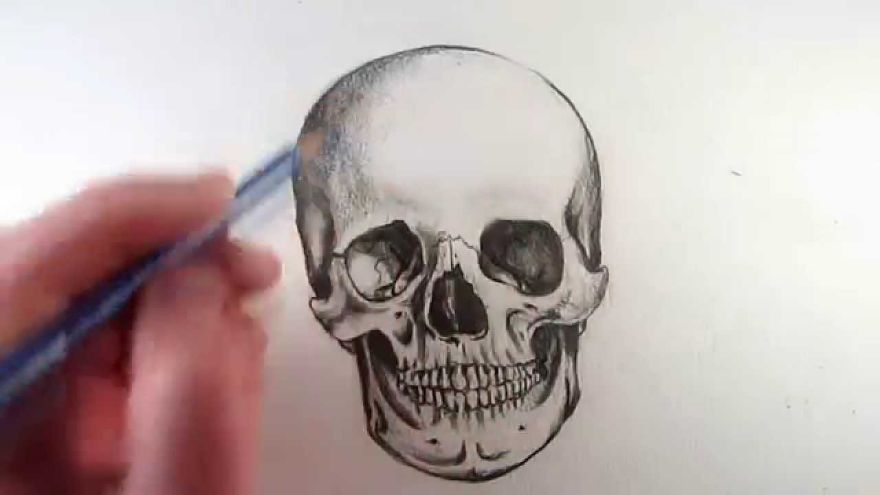 1280x720 How To Draw A Realistic Skull Narrated Step By Step - Skull Pencil Sketch