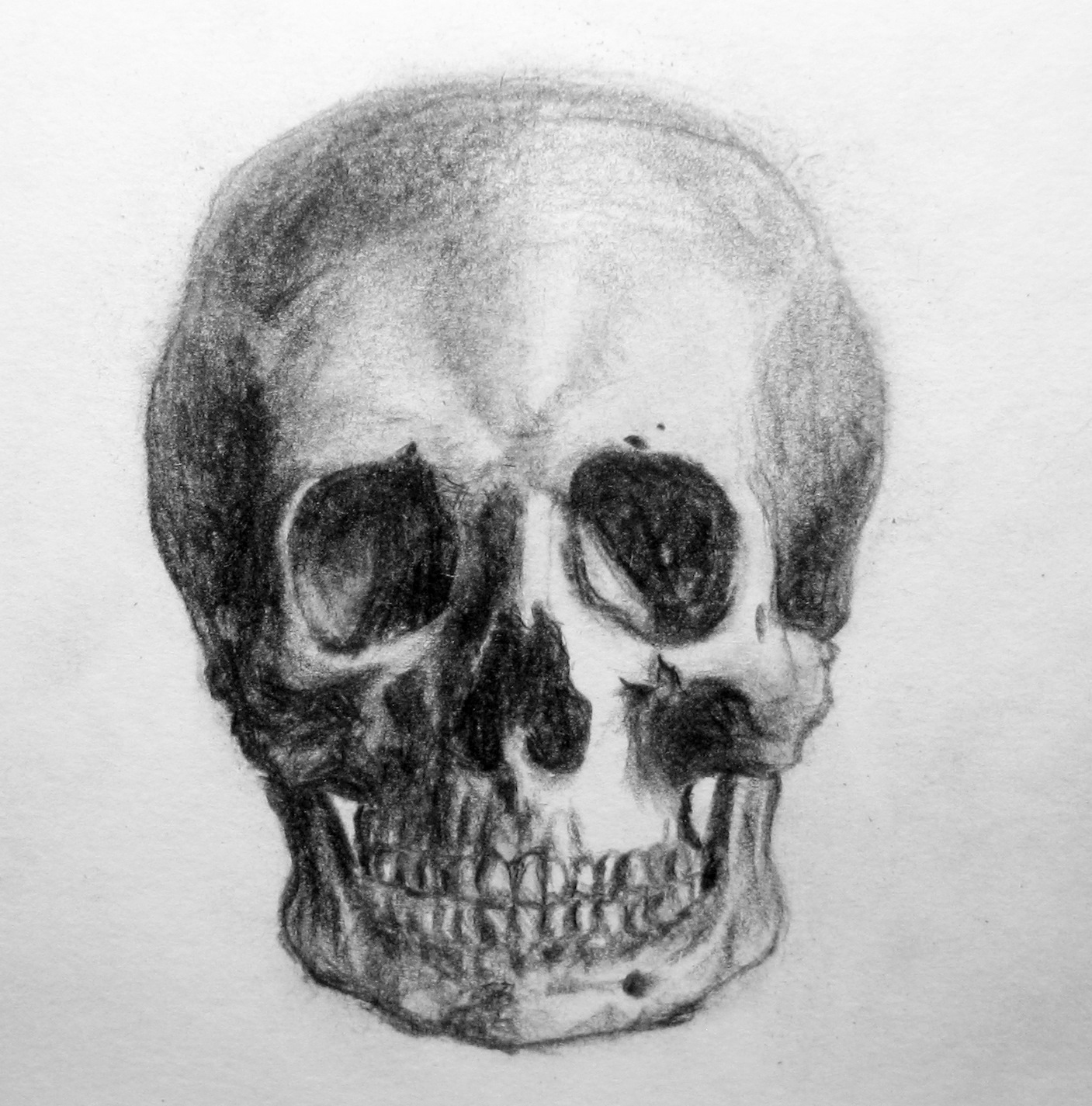 1407x1425 Pencil Drawing Of A Skull Pencil Drawings Amp Oils - Skull Pencil Sketch