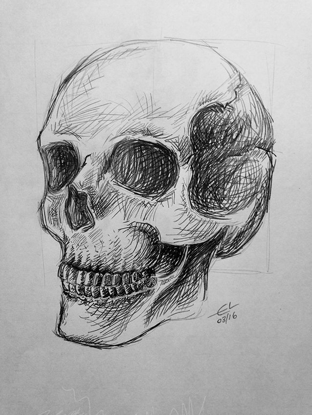 638x850 Skull - Skull Pencil Sketch