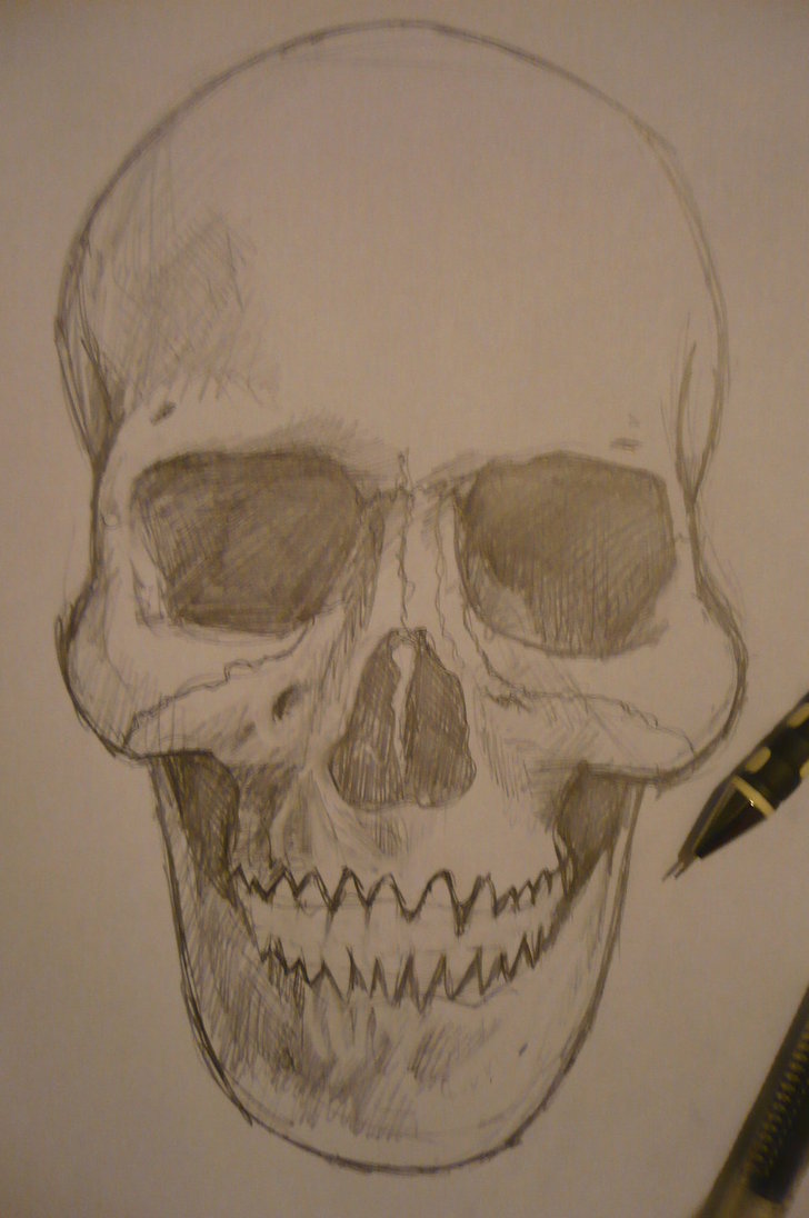 728x1096 Skull Pencil Sketch By M99art - Skull Pencil Sketch