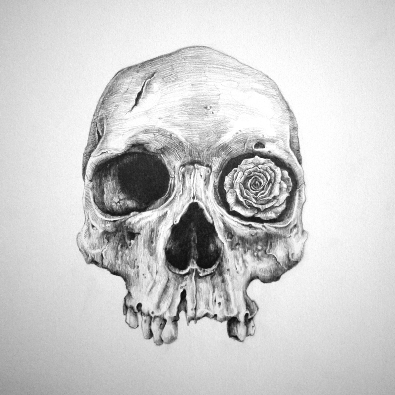 800x800 Detailed Skull Pencil Drawings By Zephyr Xavier - Skull Pencil Sketch