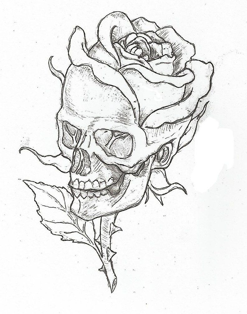 793x1008 Simple Skulls And Roses Drawings Amazing Tattoos - Skull Rose Sketch