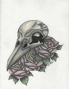 232x300 Skull Rose Drawings - Skull Rose Sketch