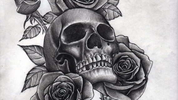 570x320 Drawn Skull Rose - Skull Rose Sketch