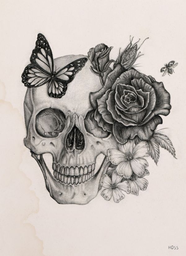 Skull Rose Sketch At Explore Collection Of Skull