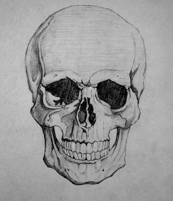 600x700 How To Draw A Skull By Howtodrawitall On @ Skulls - Skull Sketch Art