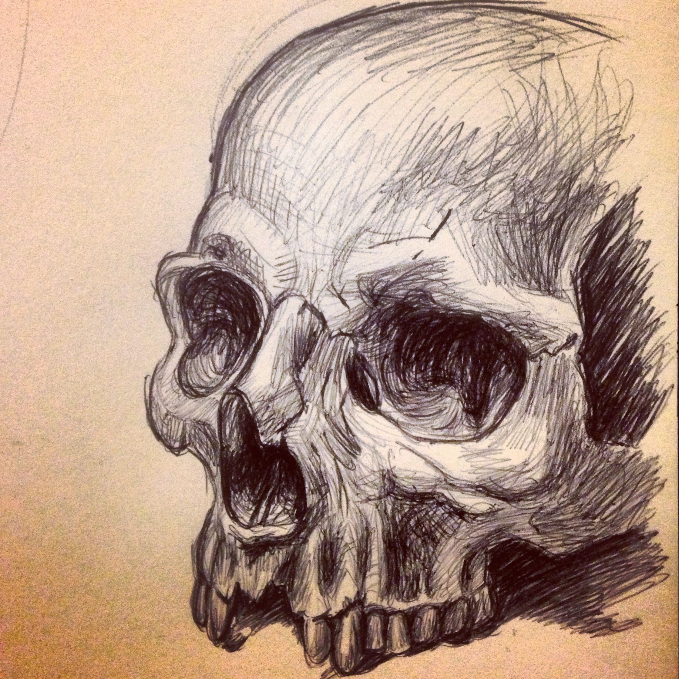 2239x2239 Human Skull Sketch. My Art Skull Sketch, Drawings - Skull Sketch Art