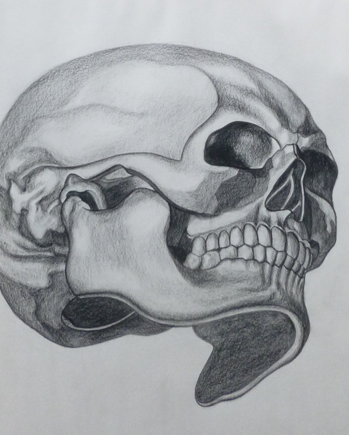 1200x1497 Mildredwilson.art - Skull Sketch Art
